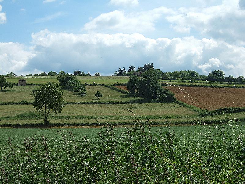 2010-05- (129).JPG